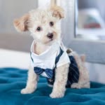 Benji Roy McClellan| Realtor - @benji_means_business_ - Instagram
