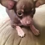 Roy Mcclellan - @roymcclellan - Instagram