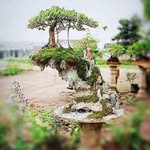 One Peace - @mccloudrroy - Instagram