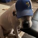 Roy McCormack - @scsu1999 - Instagram