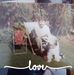 Roy McCready - Facebook