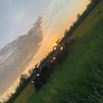Roy McDonnell - @mcdonnell.roy - Instagram