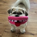 Roy Mclean - @roy.mclean.5203 - Instagram