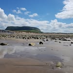 Roy Mcroberts - @roy.mcroberts - Instagram