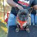 Roy Meeks - Facebook