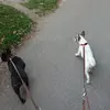 meier.roy - @meier.roy - TikTok