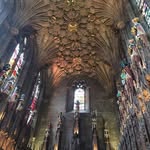Roy Meier - @roymeier1 - Instagram