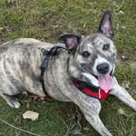 Roy Meier - @meier_3028 - Instagram