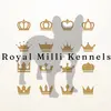 Khloe The Frenchie - @royalmillikennels - TikTok