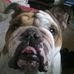 Roy Moats Sr. - Facebook