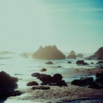 Lynell Ufer - @roymock421 - Instagram