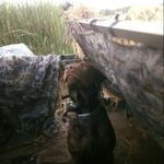 Roy Moore - @roymoore6181 - Instagram