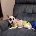 Roy Morse - Facebook