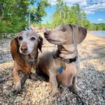 Martin Roy Moser - @martinroymoser - Instagram