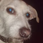 Roy Dean - @roy.moser.127 - Instagram