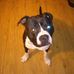 Roy Moser - Facebook