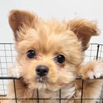 @roy_mountain0105 - Instagram