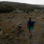 Roy Mtb - @roy_mountbrand - Instagram