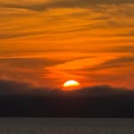 Roy Mullen - @roy.mullen.9 - Instagram