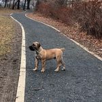 Royal Guard Murdock - @royalguardmurdock - Instagram