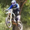 Roy Navarro - @roynavarro71 - TikTok