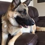 Roy Debi Nishimura Adams - @roydebinishimuraadams - Instagram