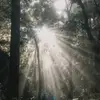 roynoel936 - @roynoel936 - TikTok