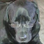 Roy Norton - @roynorton - Instagram