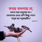 Nitul Roy - Facebook