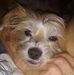 Roy W. Olds - Facebook