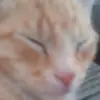 Roy Oliver - @roy.oliver19 - TikTok