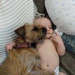 roy orr - @fynnsdad - Instagram