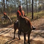 Roy Orr - @ruhrohroy - Instagram