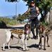 Roy Palacios - Facebook