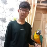 Parrot Shop - @royparrot - Instagram