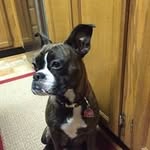 Roy Parr - @roy.parr - Instagram