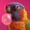 Troy Parrott Official - @troyparrott9 - TikTok