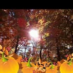 Roy Pence - @roy.pence.779 - Instagram