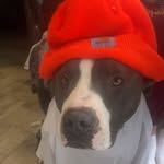 Walker Spencer - @walker_roy_spencer - Instagram