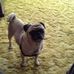 Roy Perrine III - Facebook