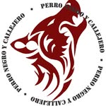 Perro Negro Y Callejero - @perro.negroycallejero - Instagram