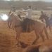 Roy Pitts - Facebook