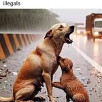 Roy Plummer - @roy.plummer.750 - Instagram