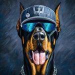 Roy Pollock - @roy_pollock - Instagram