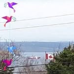 Roy Putman - @putmanroy - Instagram