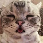 Roy PYleung - @roypyleung - Instagram