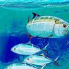 outdoorman - @roybradford0 - TikTok