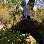Roy Rangel - @frutitas.yor - Instagram