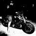 T Roy Rasmussen - Facebook