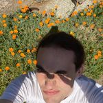 Limesandafterlife - @roy_read_land_ - Instagram